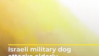 Israeli military dog attacks elderly Palestinian woman _ #AJshorts