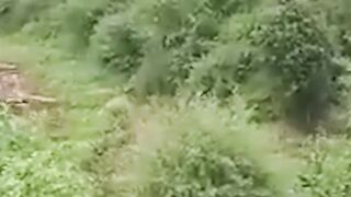 Moment landslide takes out building in India _ AJ #shorts