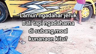 ayam broiler || kata kata lucu 548