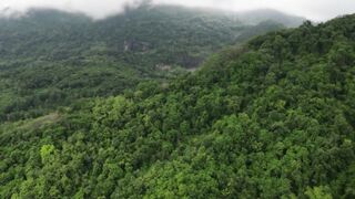 Alaska - Amazing Nature Film