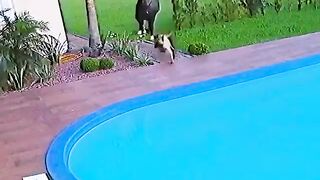 funny #wonderful Watch till the end!