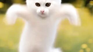 Cute cat 115