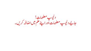Question 5