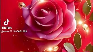 Malik video 13