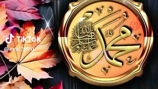 Malik touqeer abbas khan videos