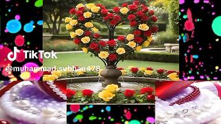 Malik touqeer abbas khan videos follow me 8