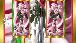 Malik touqeer abbas khan videos follow me 13