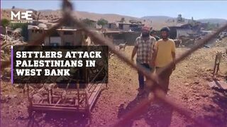 Israeli settlers attack Palestinians in occupied West Bank