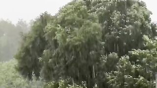 Gav ki Barish