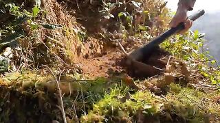 "6-Day Journey: Building a Natural Living Shelter with a Fireplace | Daily Nature Skills" 2