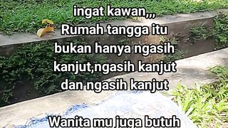 ayam broiler || kata kata lucu 552