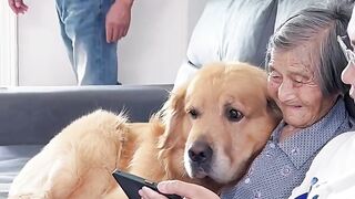 Funniest thing doing by doggy 2
