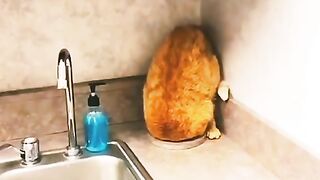 His intention was to hide