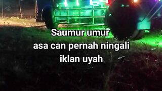 ayam broiler || kata kata lucu 554