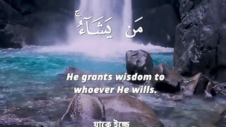 Surah Al-Baqarah -سورة البقرة-