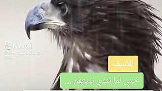 غدر اصحاب