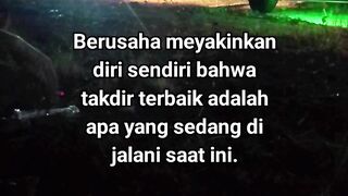 ayam broiler || kata kata lucu 556