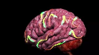 Human Breathing, Respiratory System - 3D animation - English