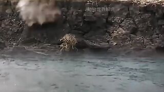 Amazing video 196