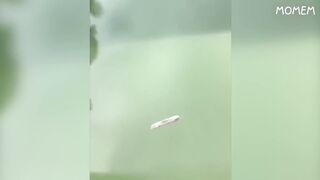 if you laugh 5 times, you lose 6