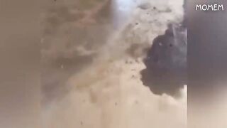 you laugh 1 times, you restart 5