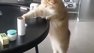 Mission Failed