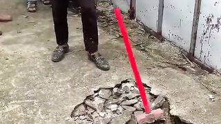 How did crocodiles get to this place? ????