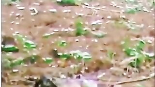 کیوں میں امید کا دامن چھوڑوں