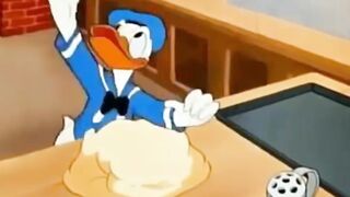 DONALD DUCK MADE AN AEROPLANE