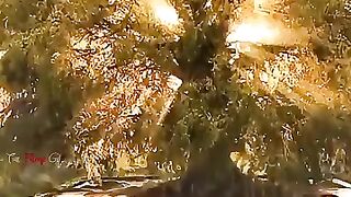 The man found magic tree