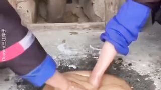 Have you ever seen such a video?