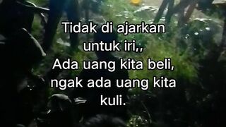 ayam broiler || kata kata lucu 563
