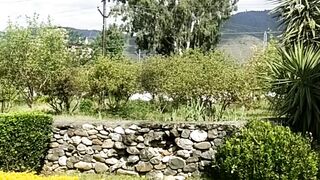 Beautiful view 116
