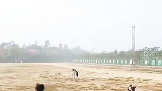 Funny???? dogs video