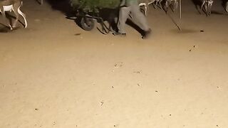 Zoo ...caretaker#febspot#viral video