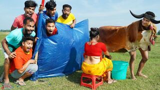 Monkey Special Trending Funny Comedy Video 2024????Special Trending Funny Comedy Video
