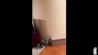 Try to hold you laughter