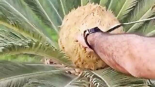 Amazing beautiful nature