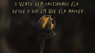 motivaçao