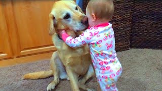 Cute babies playing with dogs compilation