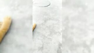 Animals Getting Scared Over Nothing ???? [Funny Pets]