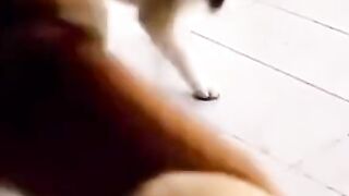 Have a laugh