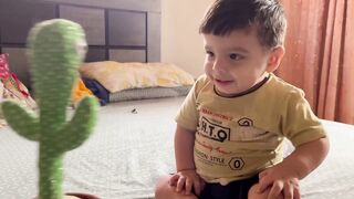 Little boy playing wit cactus
