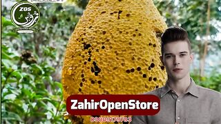 Zos honey