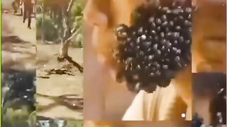Top 5 amazing facts
