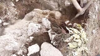 Treasure searching