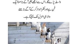 How to succes