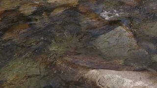 water 4