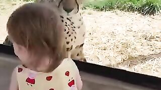 Au zoo