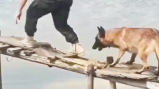 Komplikasi kocak hari ini